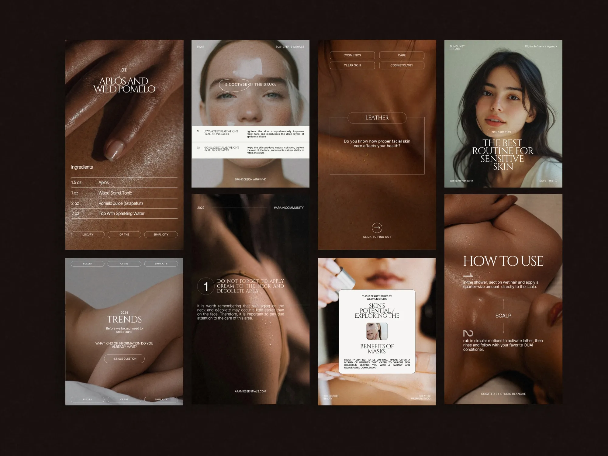 Flowing layout of skincare content kit designed in Canva for salons, visually communicating essential ingredient information and routines.